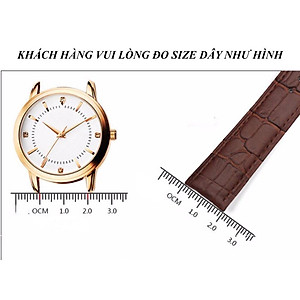Bộ Dây Da Thay Thế Cho Đồng Hồ Đeo Tay Nam Nữ Nhiều Size