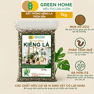 Đất Trồng Kiểng Lá Greenhome, Bao 1kg, Giá Thể Trộn Sẵn, Tiện Lợi Cho Monstera, Kiểng Lá