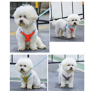 Dây dắt yếm phản quang có lót ngực lưới thoáng khí cho chó Saly Q PLC05