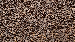 Cafe Hạt - Rang Mộc Nguyên Chất Arabica và Robusta Hảo hạn - A An Coffee