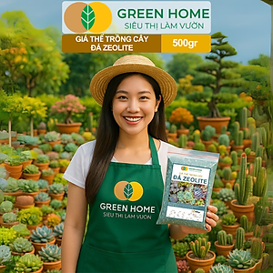 Đá Zeolite Greenhome, Bao 500GR, Giá Thể Trồng Bonsai, Xương Rồng, Đất Nền Hồ Thuỷ Sinh