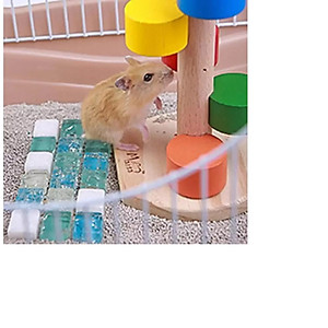 Đá pha lê làm mát cho hamster , sóc , bọ ú