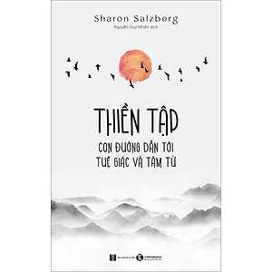 Thiền Tập - Con Đường Dẫn Đến Tuệ Giác Và Tâm Từ