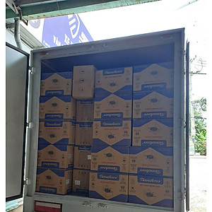 Bếp chiên nhúng ngập dầu 12L đơn Raiden RD-1112, công suất 3000W, 2 rổ chiên-Hàng chính hãng