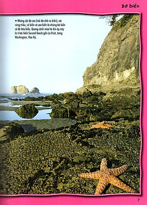 Sách 500 Dữ Kiện Khoa Học Về Đại Dương