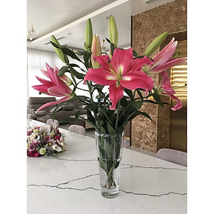 Bình hoa pha lê Tiệp cao cấp BOHEMIA 1285 cao 30.5 cm, hoa văn mài, kiểu dáng sang trọng, hiện đại - Hàng chính hãng