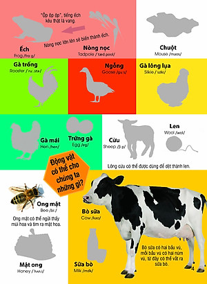 Sách Dán hình nhận biết động vật - Những loài vật dễ thương