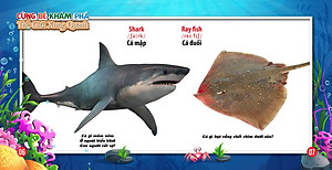 Sách Song Ngữ Anh - Việt CBKPTGXQ - Động Vật Dưới Nước