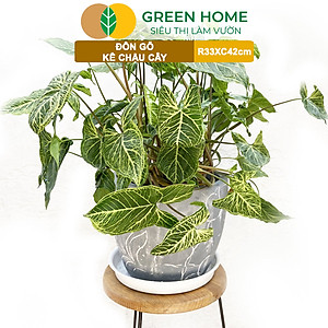 Đĩa Nhựa Lót Chậu Cây Greenhome, Nhiều Kích Cỡ, Hứng Nước Giúp Sạch Bàn, Sàn, Nhựa Nguyên Sinh, Bền, Đẹp, Chóng Rơi Vỡ
