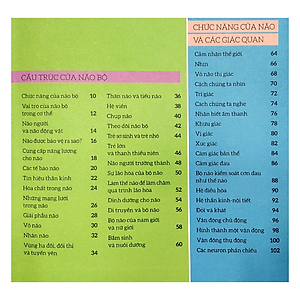 Sách How The Brain Works - Hiểu Hết Về Bộ Não