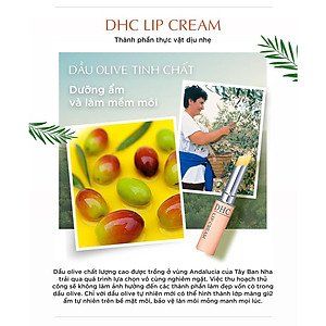 Son Dưỡng Môi DHC Lip Cream Nhật Bản 1,5g