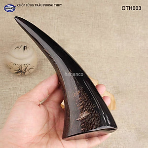 Chóp sừng trâu vật phẩm phong thủy (OTH003) HOT nhất của năm trâu vàng 2021 - giàu sang - phú quý