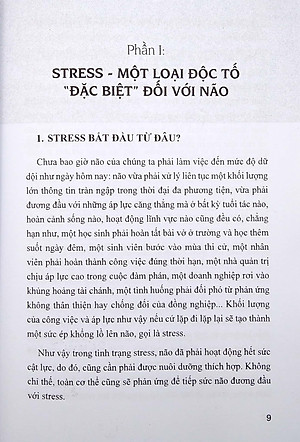 Chế Độ Ăn Bổ Trí Não Giảm Stress