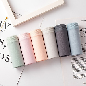  COMBO 10 QUẦN LÓT NỮ CAO CẤP, QUẦN CHÍP NỮ SP-0298