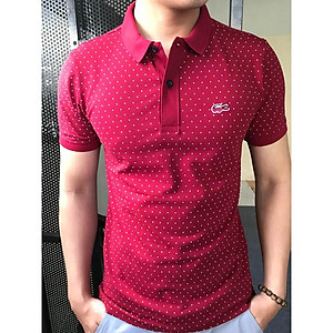 Áo Thun Nam có cổ Cá Sấu đẹp, Áo phông nam có cổ chất liệu cotton thun form đẹp