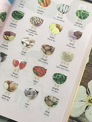 Make Your Chinese Map - Bản đồ tư duy từ vựng Tiếng Trung theo chủ đề