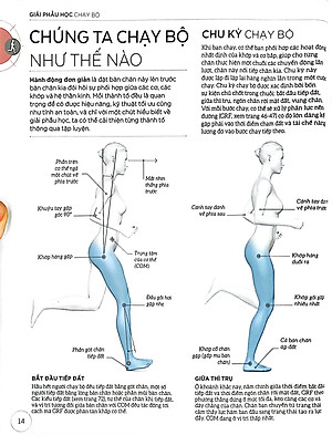 Khoa Học Về Chạy Bộ - Phân Tích Kỹ Thuật, Phòng Ngừa Chấn Thương, Đổi Mới Cách Tập Luyện - Bìa Cứng