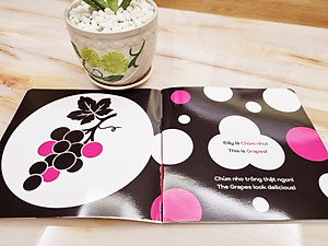 Combo 6 cuốn sách Ehon Song Ngữ Kích Thích Thị Giác Cho Bé 0-3 tuổi Black and White books