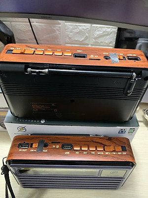 Đài Radio FM DS-1975BT Nhật-Kiểu Dáng Cổ Điển - Loa Bluetooth 5.4 Hỗ Trợ USB, Thẻ nhớ, Cáp sạc typeC - Hàng chính hãng