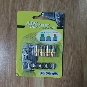 Nắp Van Lốp Ô Tô bằng Đồng kiểm tra cảnh báo Áp Suất Lốp có ốc hãm chống trộm