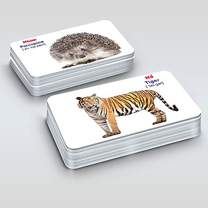 Bộ Thẻ học Thông minh - 416 Tấm Flashcards Tiếng Anh - 16 Chủ Đề Mới Nhất - Hàng Chính Hãng MINIIN