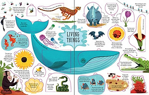 Sách tương tác tiếng Anh - Usborne Lift-the-flap General Knowledge