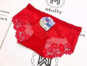 Combo 10 quần lót ren nữ