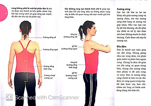 Sách Lò Xo - 15 Phút Tập Lưng (Kèm 1 DVD)