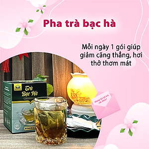 Trà Lá Bạc Hà Hộp 30 Túi Lọc Của Siêu Thị Thiên Nhiên