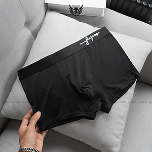 Quần boxer nam, combo quần lót nam cao cấp chất thun lạnh kháng khuẩn co giãn 4 chiều phong cách nam tính - Faapas