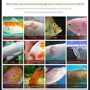 Thuốc trị nấm rất nhậy cho cá cảnh BIO CLEAN 50NL, 100ML