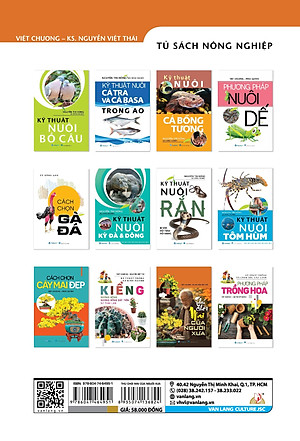 Sách Thú Chơi Mai Của Người Xưa