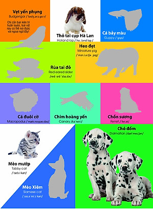 Sách Dán hình nhận biết động vật - Những loài vật dễ thương