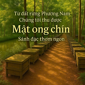 Combo Mật ong  rừng Phương Nam 100% mật ong chín Honimore 990g