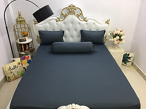 Bộ Drap gối  Thun Hàn Quốc 4 món { drap và 3 áo gối}