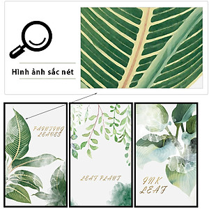 Sticker Decal Dán tường các mẫu khung tranh siêu đẹp in màu chất lượng cao có keo mặt sau
