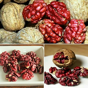 Quả Óc Chó Đỏ Mỹ đã tách vỏ ( hũ 500gr )