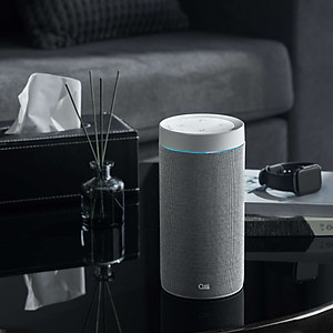 Loa thông minh OLLI MAIKA - Xám Thời Thượng - Hàng Chính Hãng