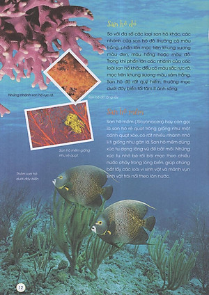 Sách Động Vật Xinh Đẹp