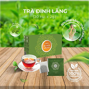 Trà Thảo Mộc Đinh Lăng Túi Lọc SunBeleaf - TP042 