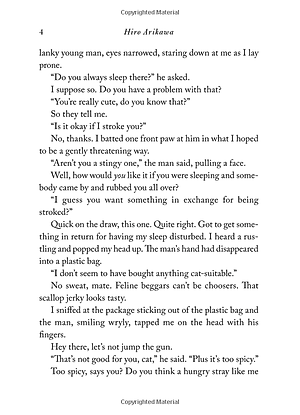 Sách The Travelling Cat Chronicles