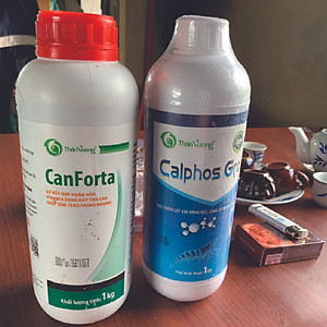 SIÊU TĂNG TRỌNG CHO TÔM CÁ CANFORTA