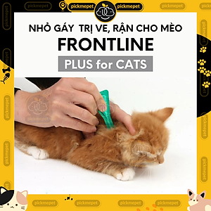 Nhỏ Ve Rận, Bọ Chét Frontline Plus Cho Mèo Trên 2 tháng