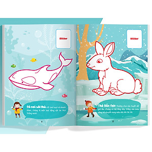 Combo Con Tô Màu Thám Hiểm (4 cuốn)