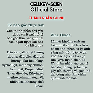Combo Kem Nền Kem Chống Nắng Che Khuyết Điểm Kiềm Dầu Dưỡng Trắng Chống Nhăn Cho Da Nhạy Cảm Cellkey-Scien BB Sun Cream (80ml)