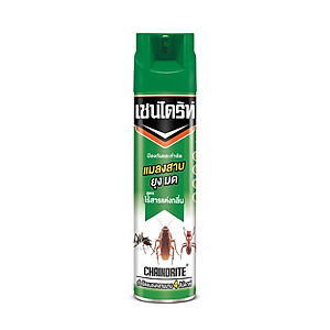 Bình Xịt Diệt Gián Thái Lan