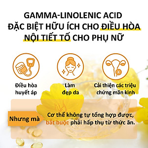 Viên uống điều hòa nội tiết tố nữ, nuôi dưỡng da Solgar Dầu Anh Thảo Evening Primrose Oil 1300 mg - NHẬP KHẨU USA