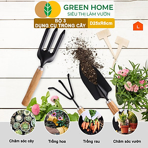 Dụng Cụ Làm Vườn Greenhome, D25cm, Cán Gỗ, Lưỡi Thép, Gồm Xẻng Xúc Đất, Cào, Chĩa, Trồng Cây, Làm Cỏ Dễ Dàng