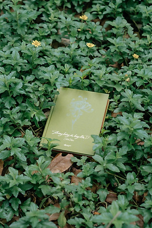 Sách - Bong Bóng Ơi, Bay Lên! - Bìa Cứng