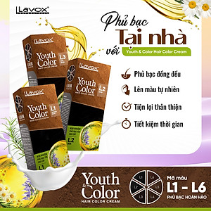 Nhuộm Phủ Bạc Cao Cấp Lavox 60ml x 2 - L4 - Nâu Cà Phê